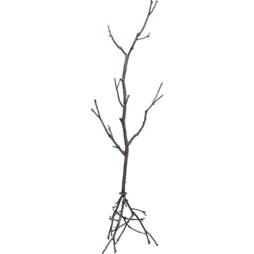 Coat Stand Tree Branch 183cm