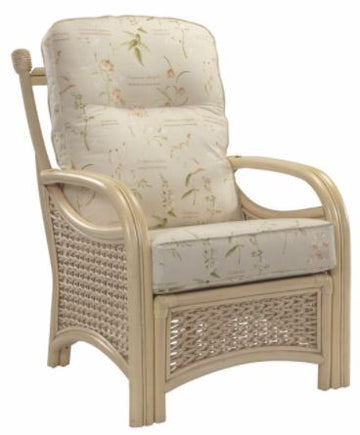 DE Rosdniw Armchair + Cushion