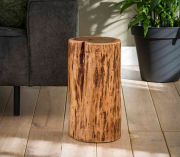ZI Side table trunk ±Ø30
