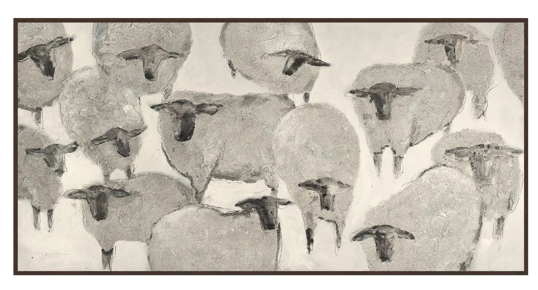 sheep icture