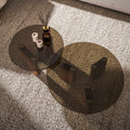 Zijlstra Tinto Round Coffee Table Set of 2 Bronze Glass 29.9x29.9x12.2 in
