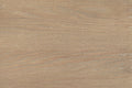 VIDA Living Dursey Tall Bookcase Natural