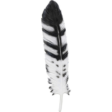 Wall Object Quill 18x77cm