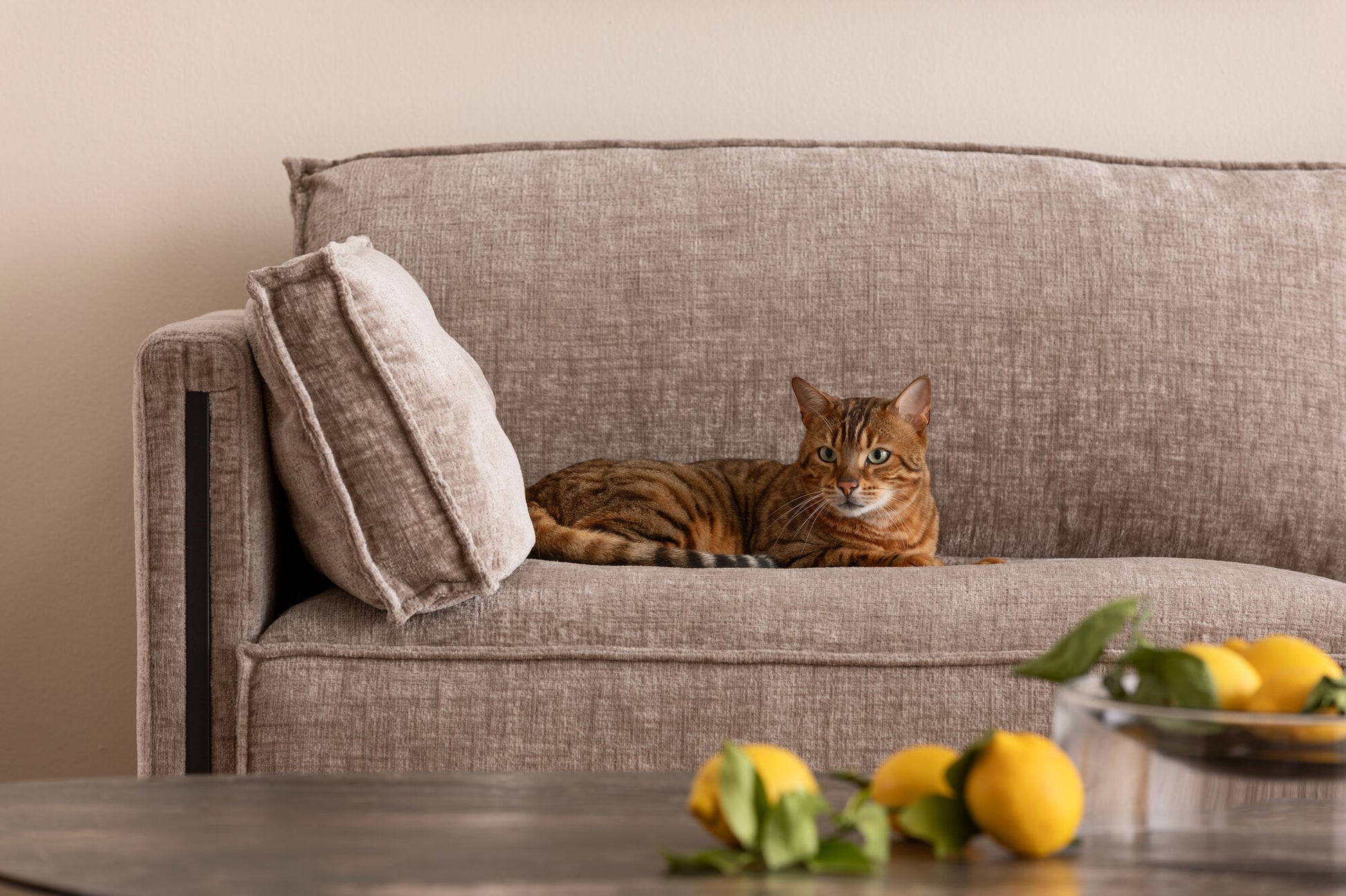 KARE Design Victor 3-Seat Sofa Beige 92 Inch