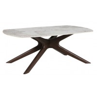 Ariya Modern Coffee Table