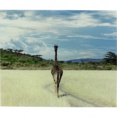 Picture Glass Savanne Giraffe 100x120