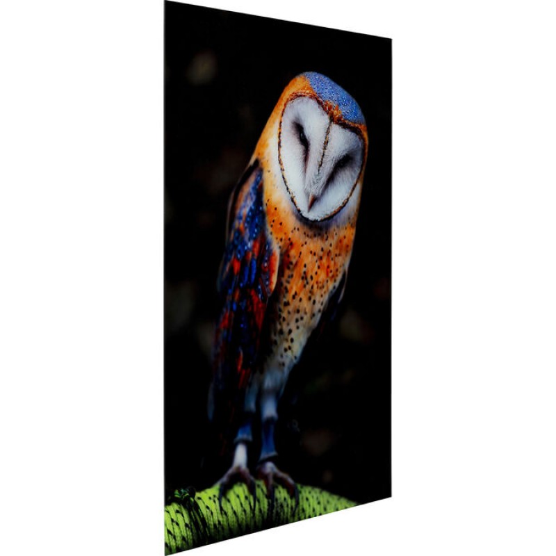 Picture Glass Cute Owl 120x80