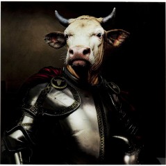 Picture Glass Knight Cow 120x120