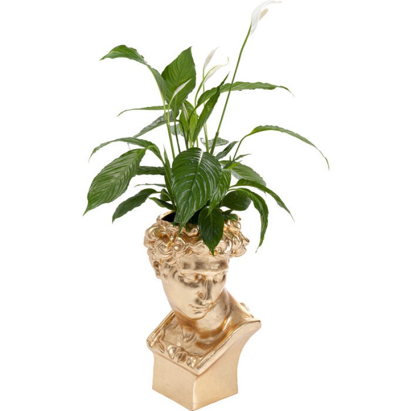 Deco Planter David Gold