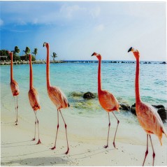 Picture Glass Flamingo Walk 80x80