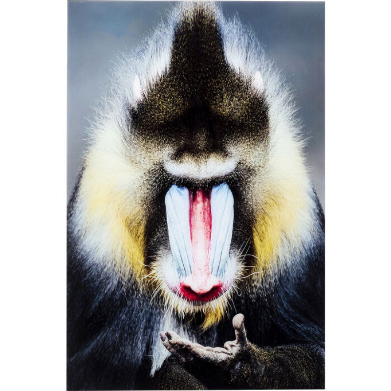 Picture Glass Mandrill Monkey 80x120cm