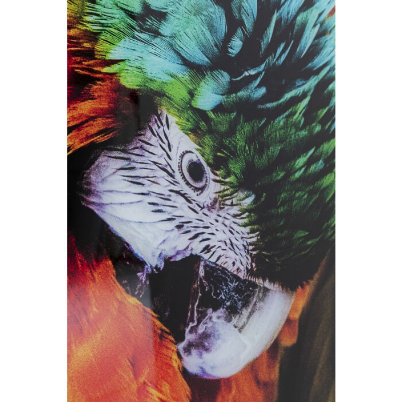 Glass Picture Tropical Parrot 120x80cm