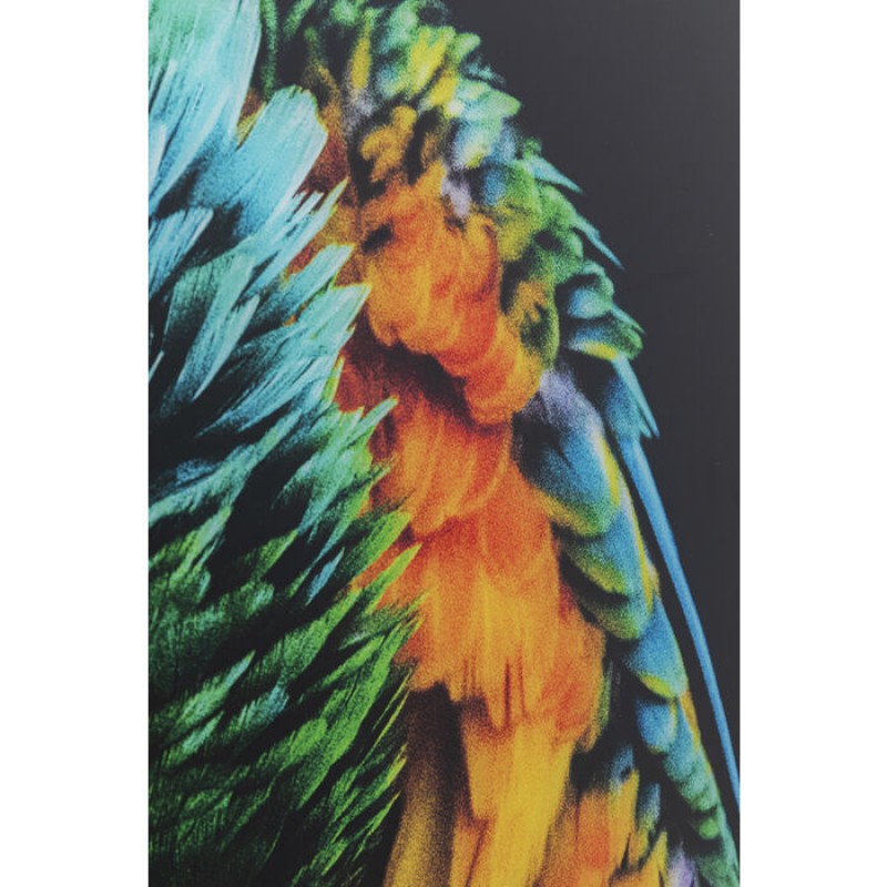 Glass Picture Tropical Parrot 120x80cm