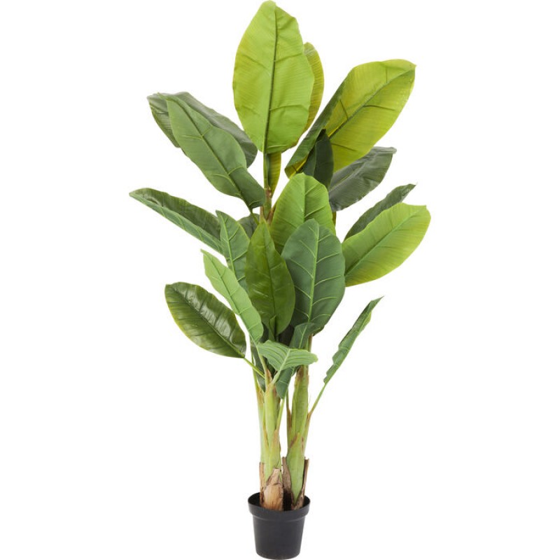 Deco Plant Banana Tree 180cm