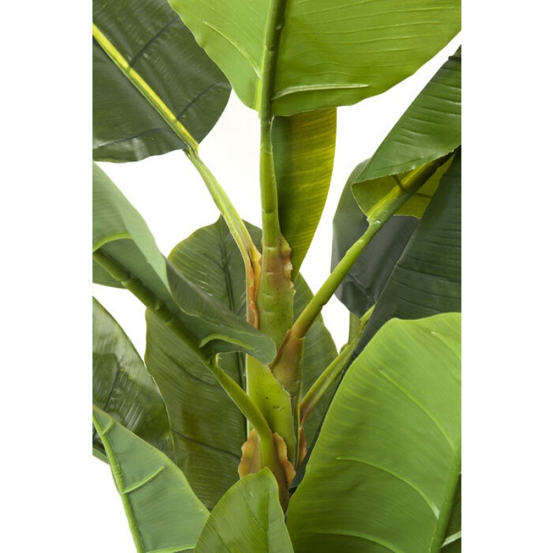 Deco Plant Banana Tree 180cm