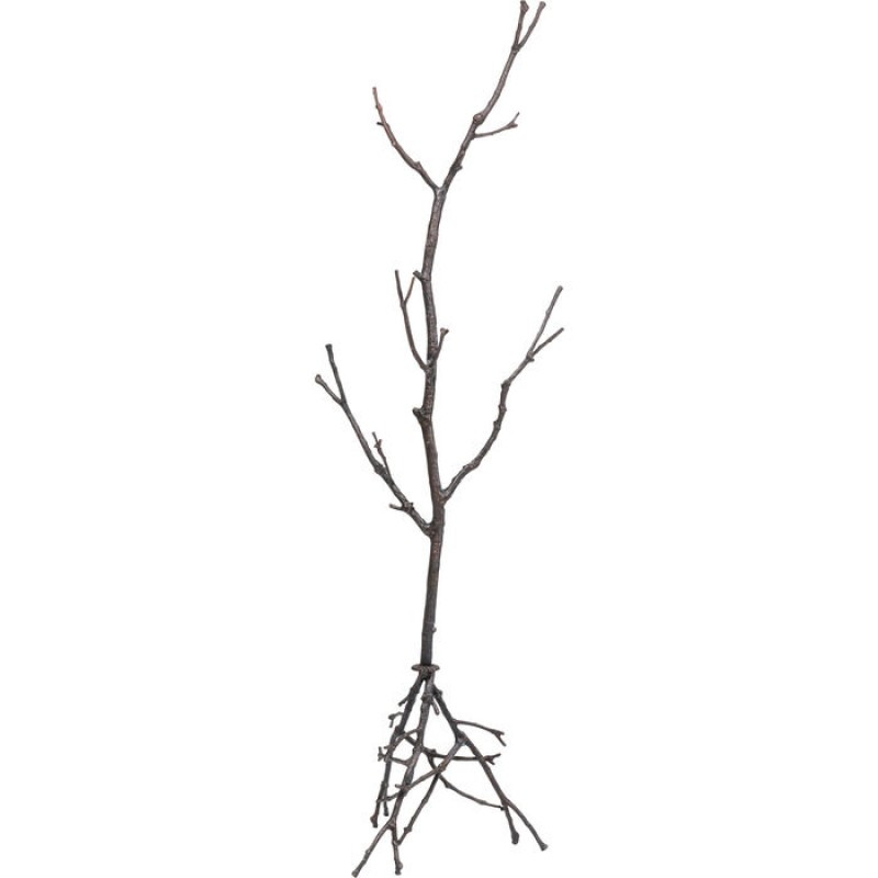 Coat Stand Tree Branch 183cm